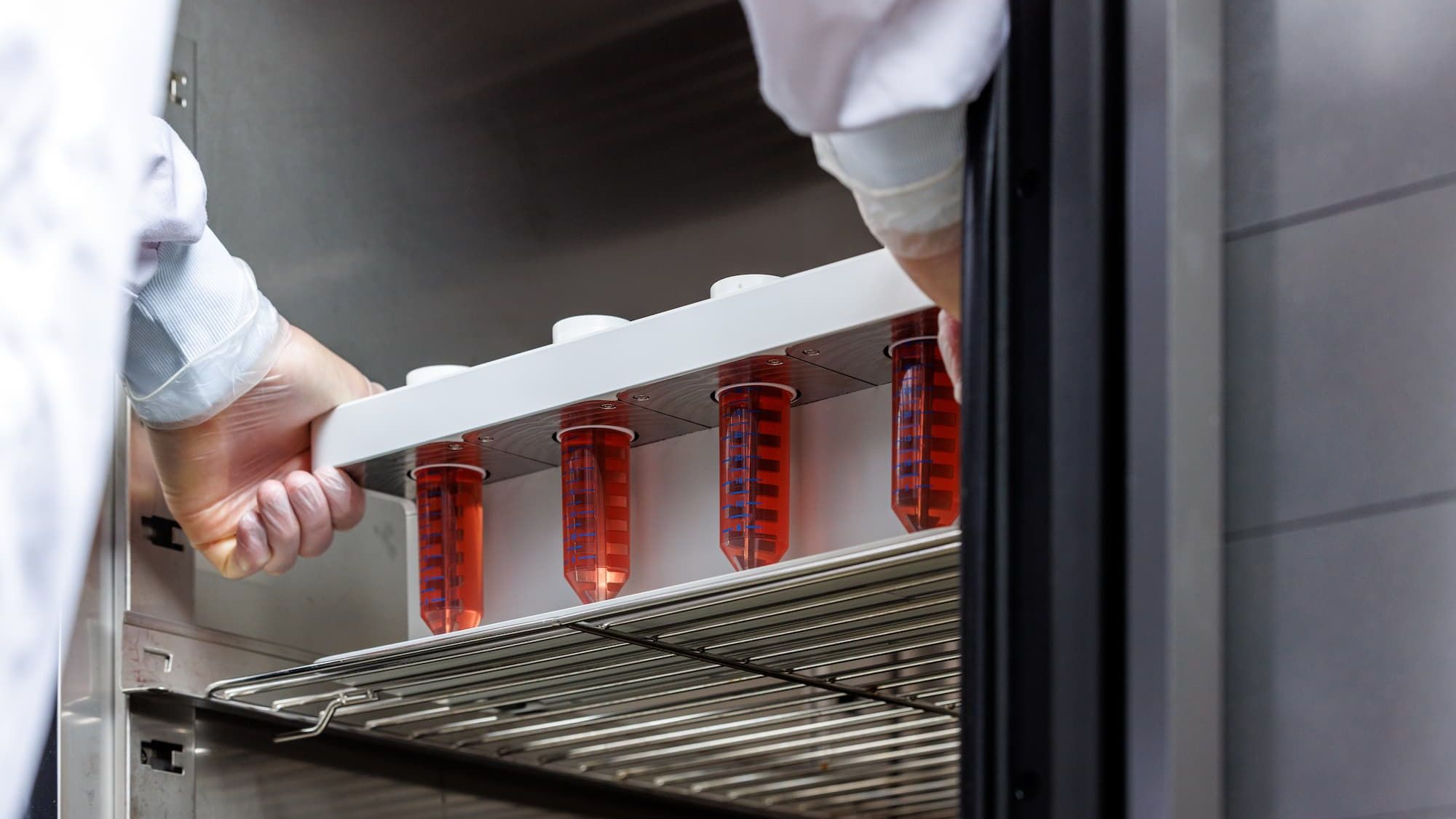 Orgonex-bioreactor-action